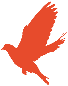 北京冬奥会消防安保监督_冬奥会安保措施_河池支队党风廉政建设监督