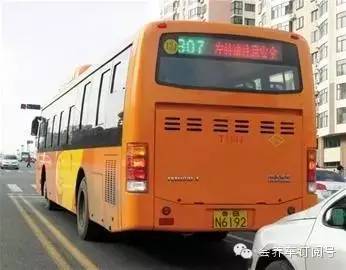 违章高发星期？这7种隐蔽违章最易中招