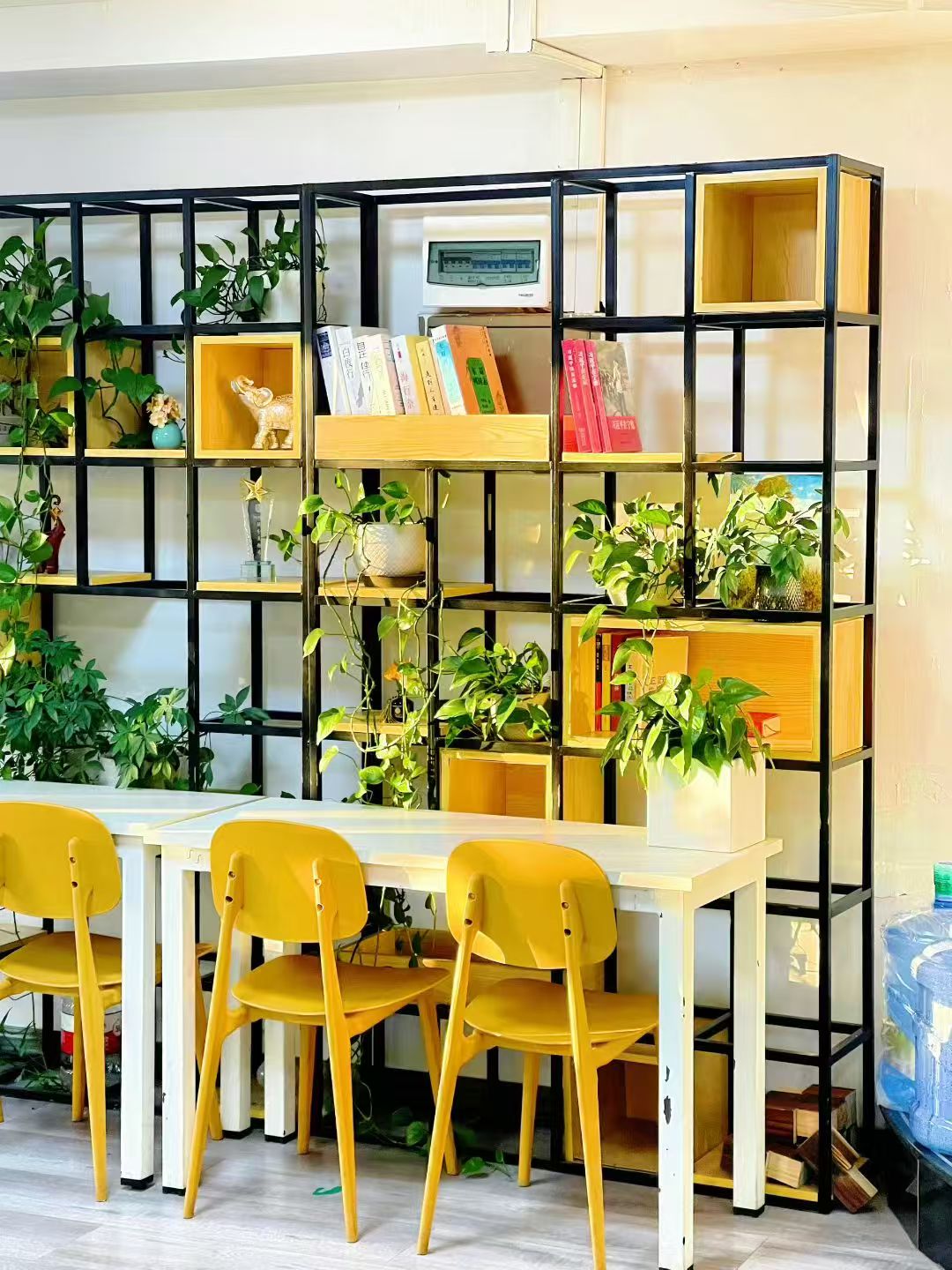 高考政治_高考冲刺资料_理优清北教育高考冲刺资料